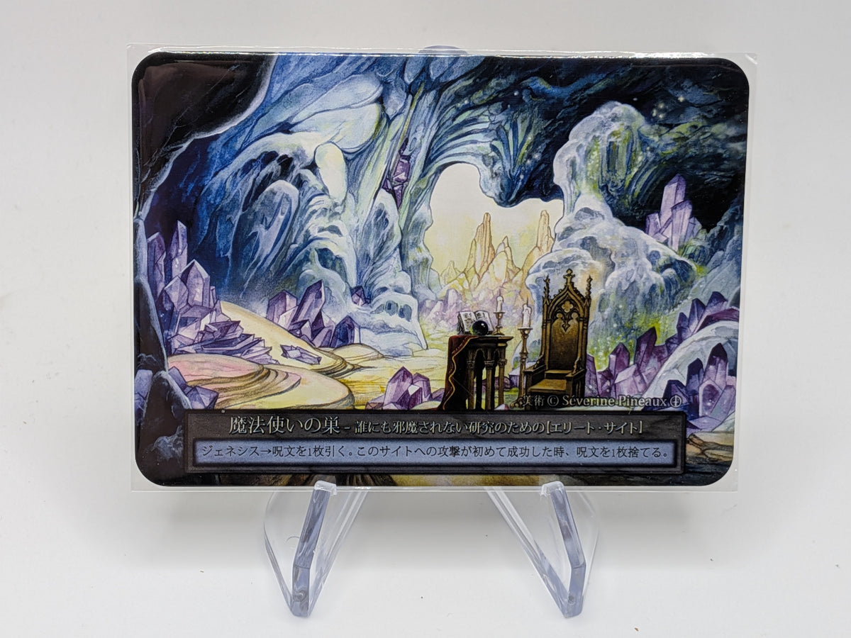 Wizard's Den (AL Curio)