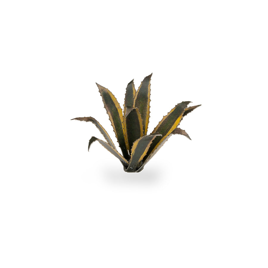 Gamers Grass: Laser Plants - Agave