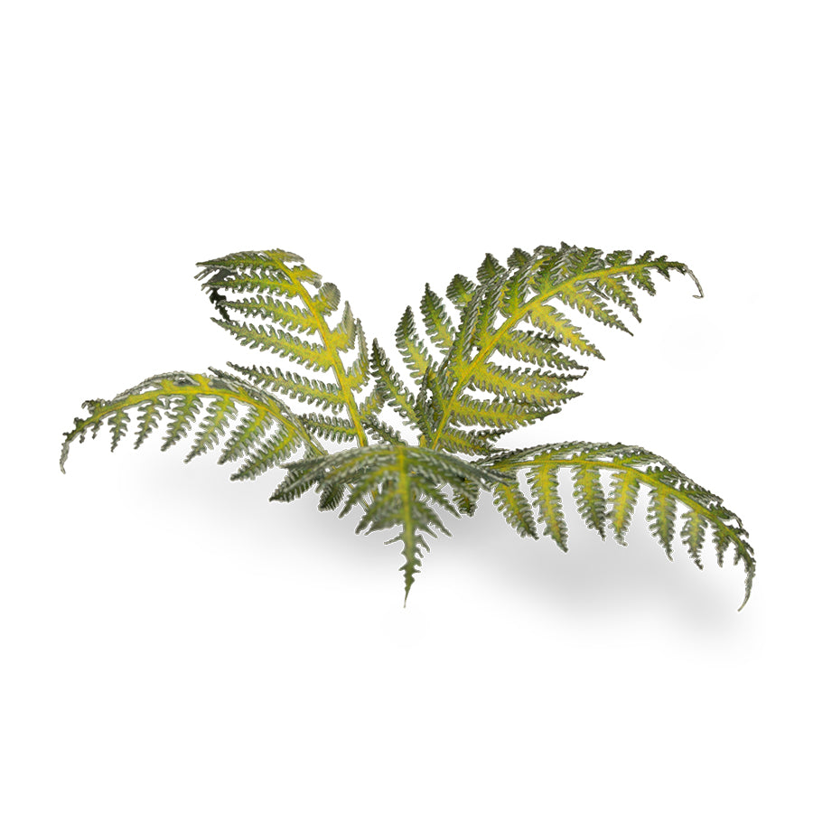 Gamers Grass: Laser Plants - Bracken