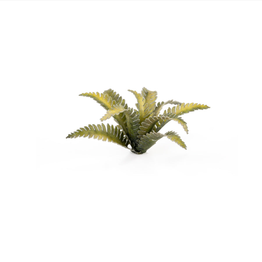 Gamers Grass: Laser Plants - Deer Fern