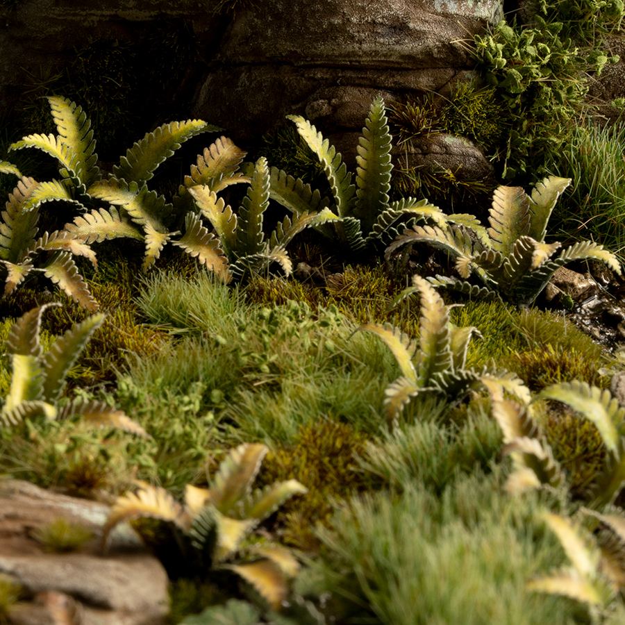 Gamers Grass: Laser Plants - Deer Fern