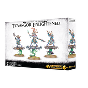 Warhammer Age of Sigmar: Disciples of Tzeentch - Tzaangor Enlightened
