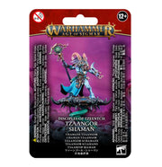 Warhammer Age of Sigmar: Disciples of Tzeentch - Tzaangor Shaman