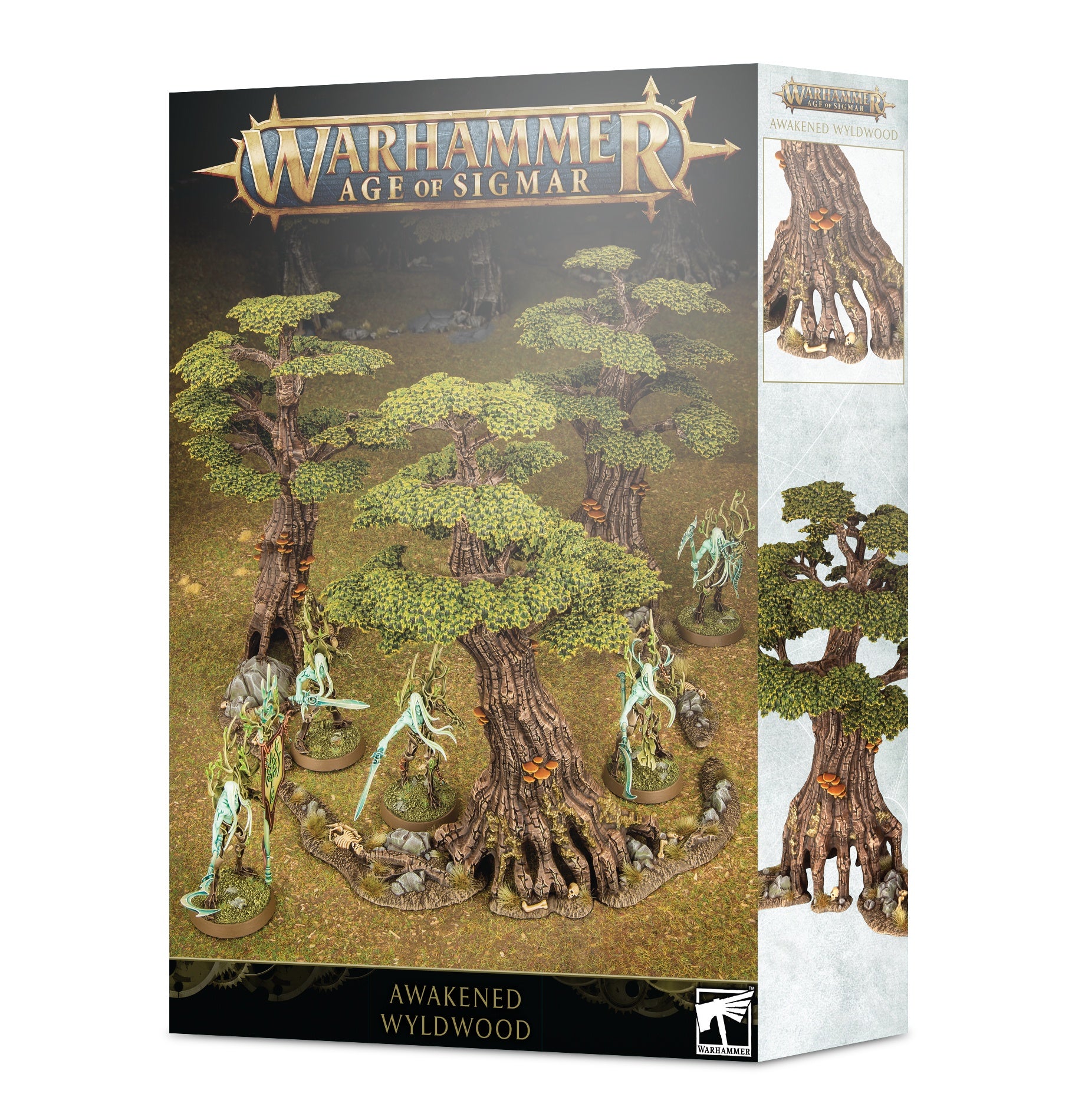 Warhammer Age of Sigmar - Sylvaneth Awakened Wyldwood