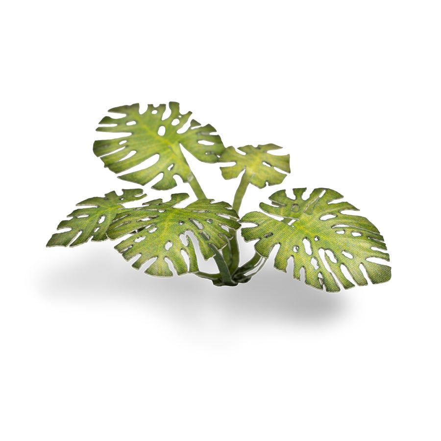 Gamers Grass: Laser Plants - Monstera