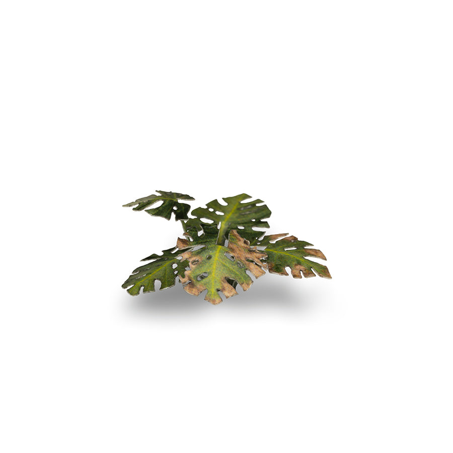 Gamers Grass: Laser Plants - Monstera