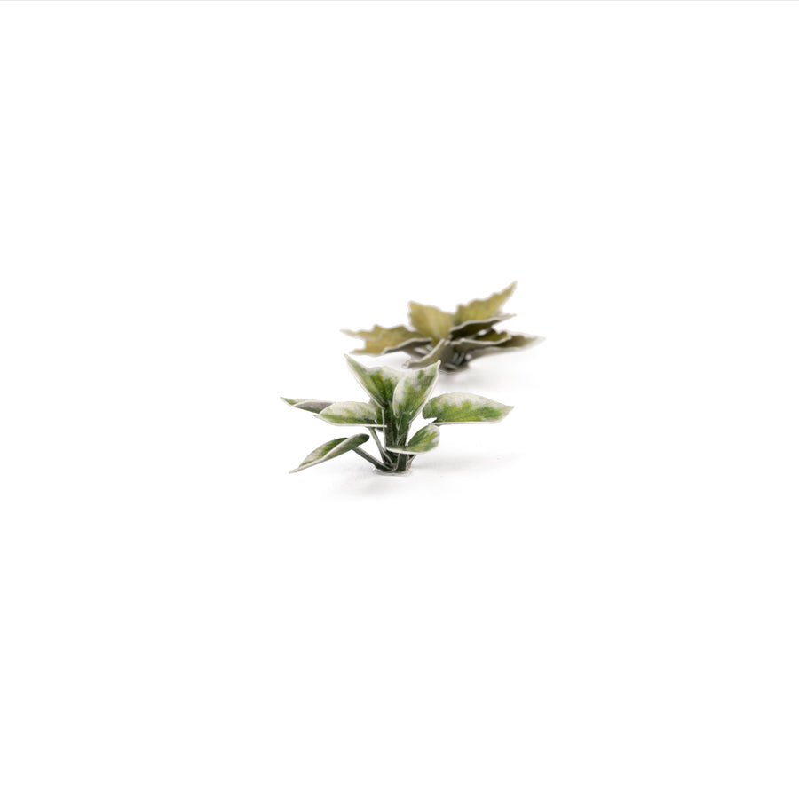 Gamers Grass: Laser Plants - Plantain Lily