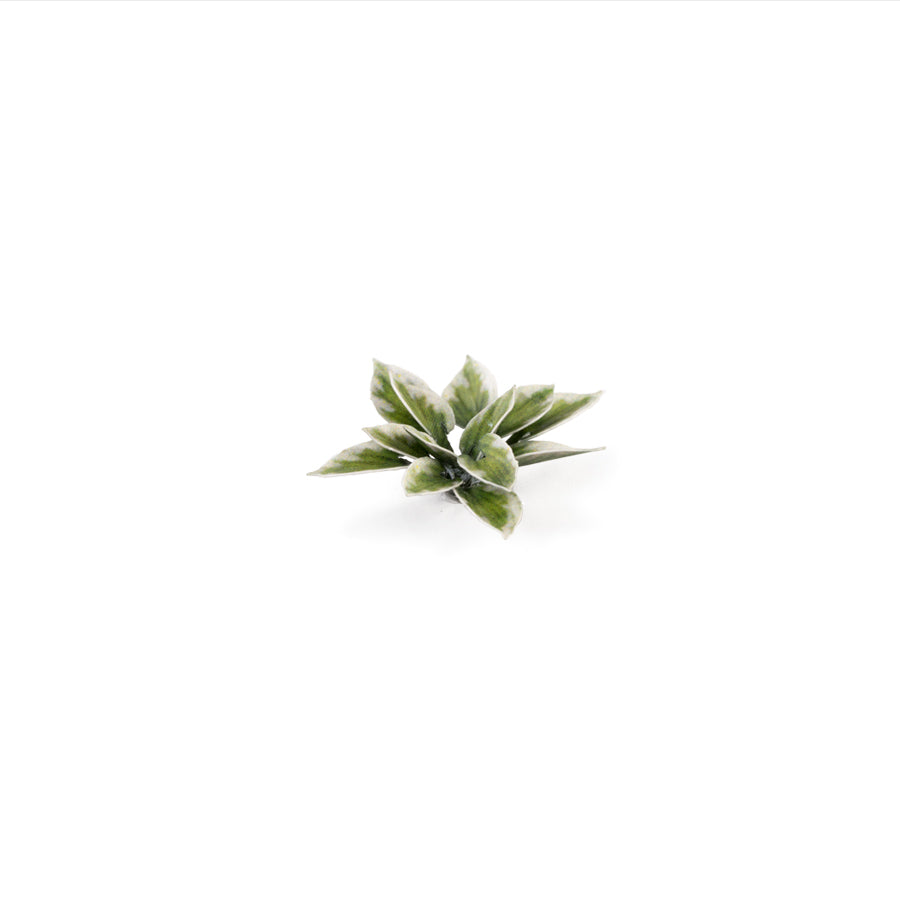 Gamers Grass: Laser Plants - Plantain Lily